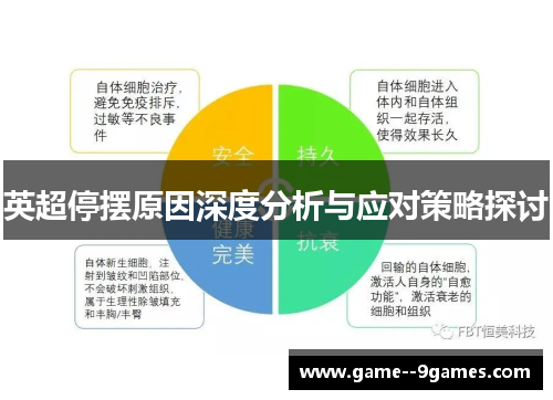 英超停摆原因深度分析与应对策略探讨 英超停摆原因深度分析与应对策略探讨