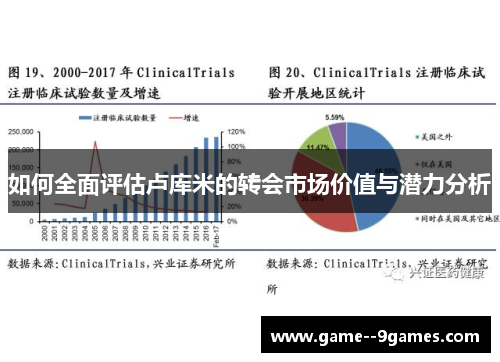如何全面评估卢库米的转会市场价值与潜力分析