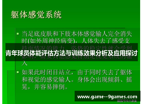 青年球员体能评估方法与训练效果分析及应用探讨